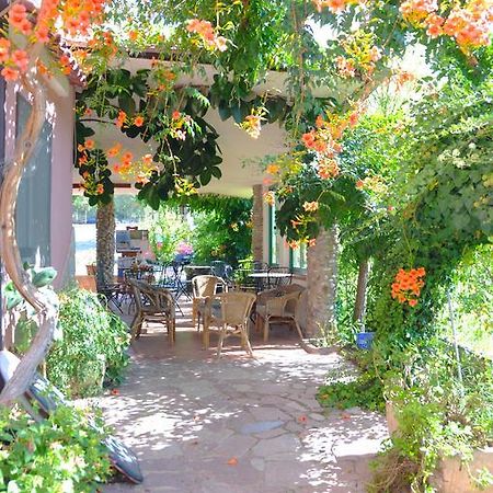 B&B Casa Vacanze Marcella Palinuro Esterno foto