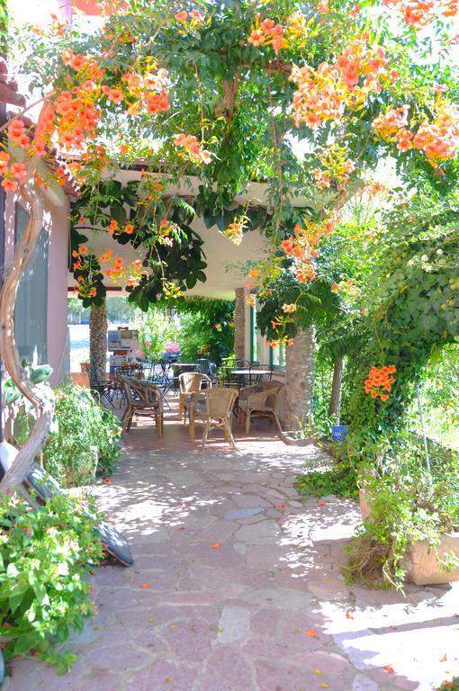 B&B Casa Vacanze Marcella Palinuro Esterno foto