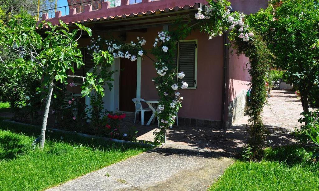 B&B Casa Vacanze Marcella Palinuro Esterno foto