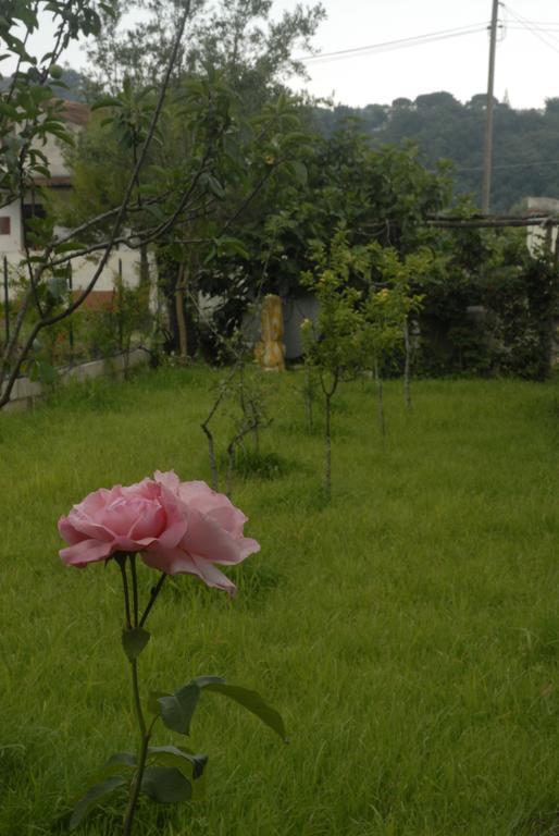 B&B Casa Vacanze Marcella Palinuro Esterno foto