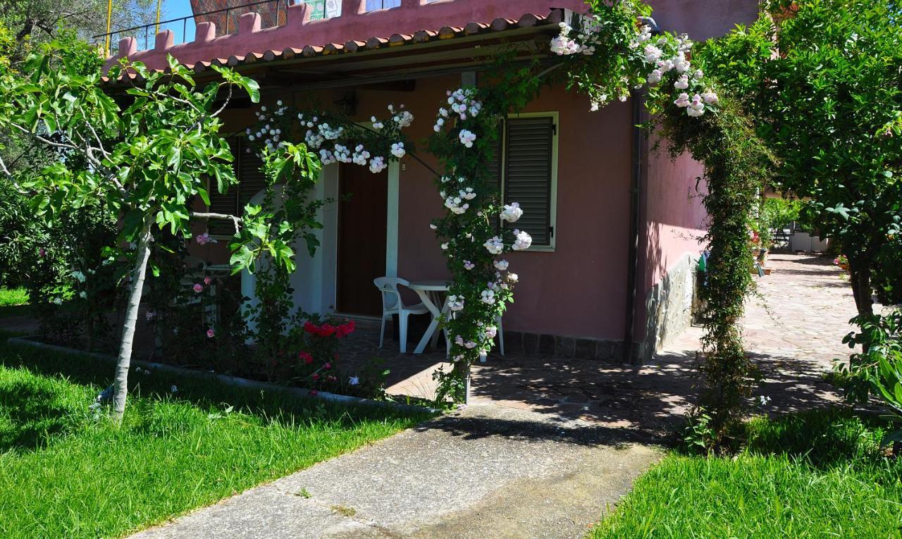 B&B Casa Vacanze Marcella Palinuro Esterno foto