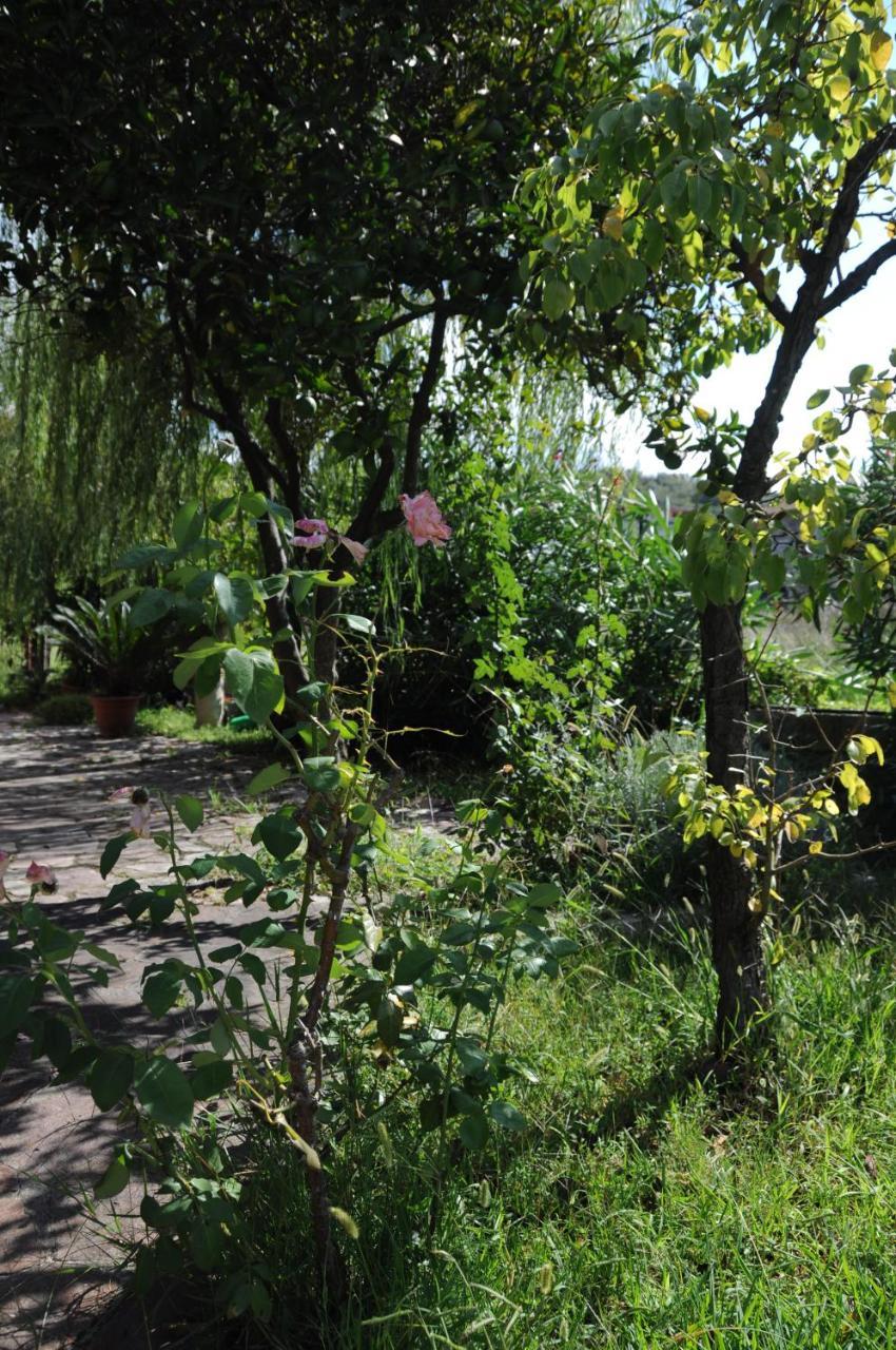 B&B Casa Vacanze Marcella Palinuro Esterno foto
